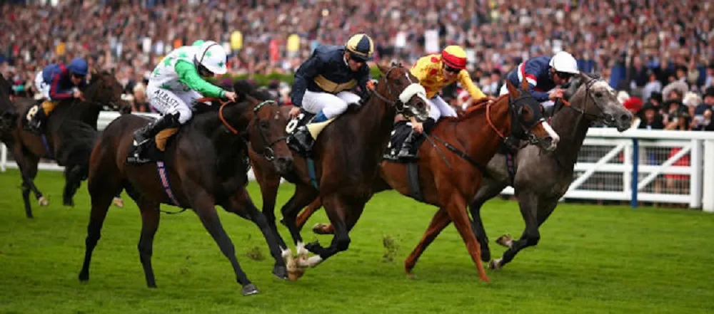 Estoturf Turf: Expert Tips for Winning Horse Racing Predictions