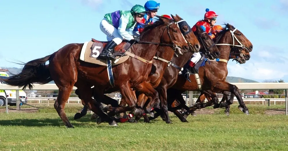 FranceChevalTurf: Latest predictions for today’s races